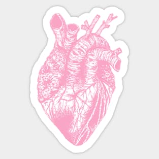 pastel pink heart drawing transparent Sticker